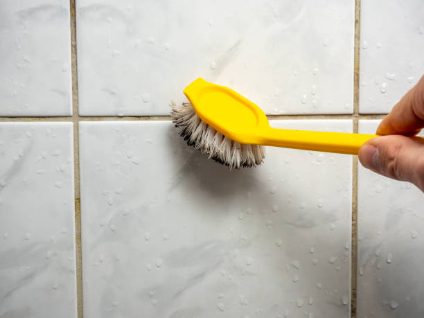 Best Affordable Mold Removal  in Prieton, NC