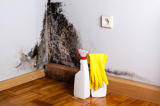 Water Damage Restoration in Princeton, NC